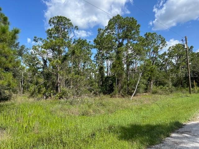 Start your new SW Florida lifestyle here in the Tropical Gulf Acres community in Punta Gorda and get plans going to build your new home. We can connect you with trusted builders to bring your vision to life. An additional lot is available next to it (MLS #C7513083). Seller prefers to sell together as a package. Not in a currently designated flood zone or scrub jay territory! No HOA or deed restrictions. Short driving distance to downtown Punta Gorda for boutique shopping, farmer's markets, restaurants with delectable cuisine, a calendar full of year-round fun activities and events, Fishermen's Village, golfing, tennis and pickleball courts, boat ramps, Spring Training baseball stadiums, Punta Gorda Airport, and an I-75 exit for travel. Ready to get started?
