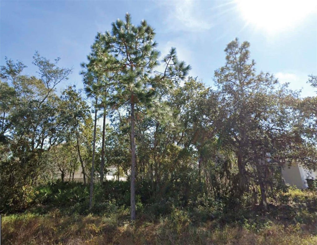 Photo of 1626 Pilchard Court, Poinciana, FL 34759 (MLS # O6437543)