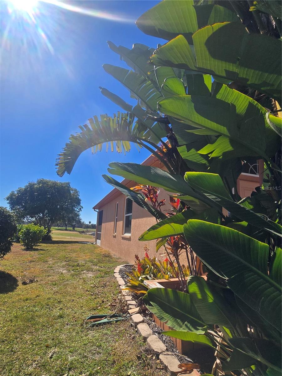 GREENFIELD PLANTATION PH I - Residential