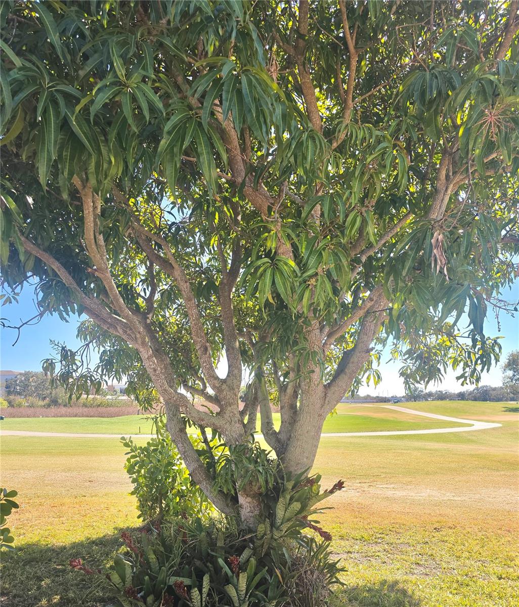 GREENFIELD PLANTATION PH I - Residential