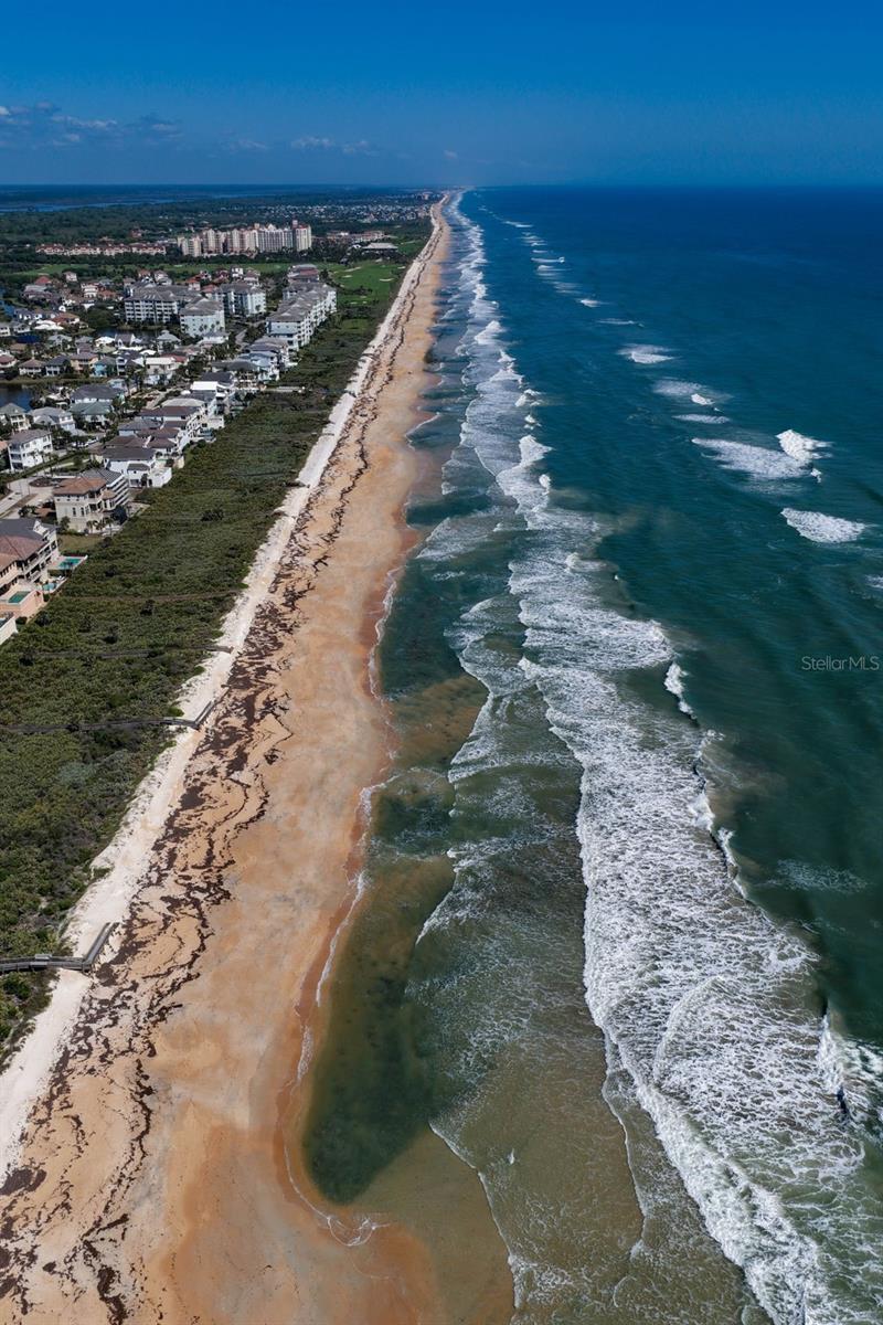 OCEAN HAMMOCK - Land