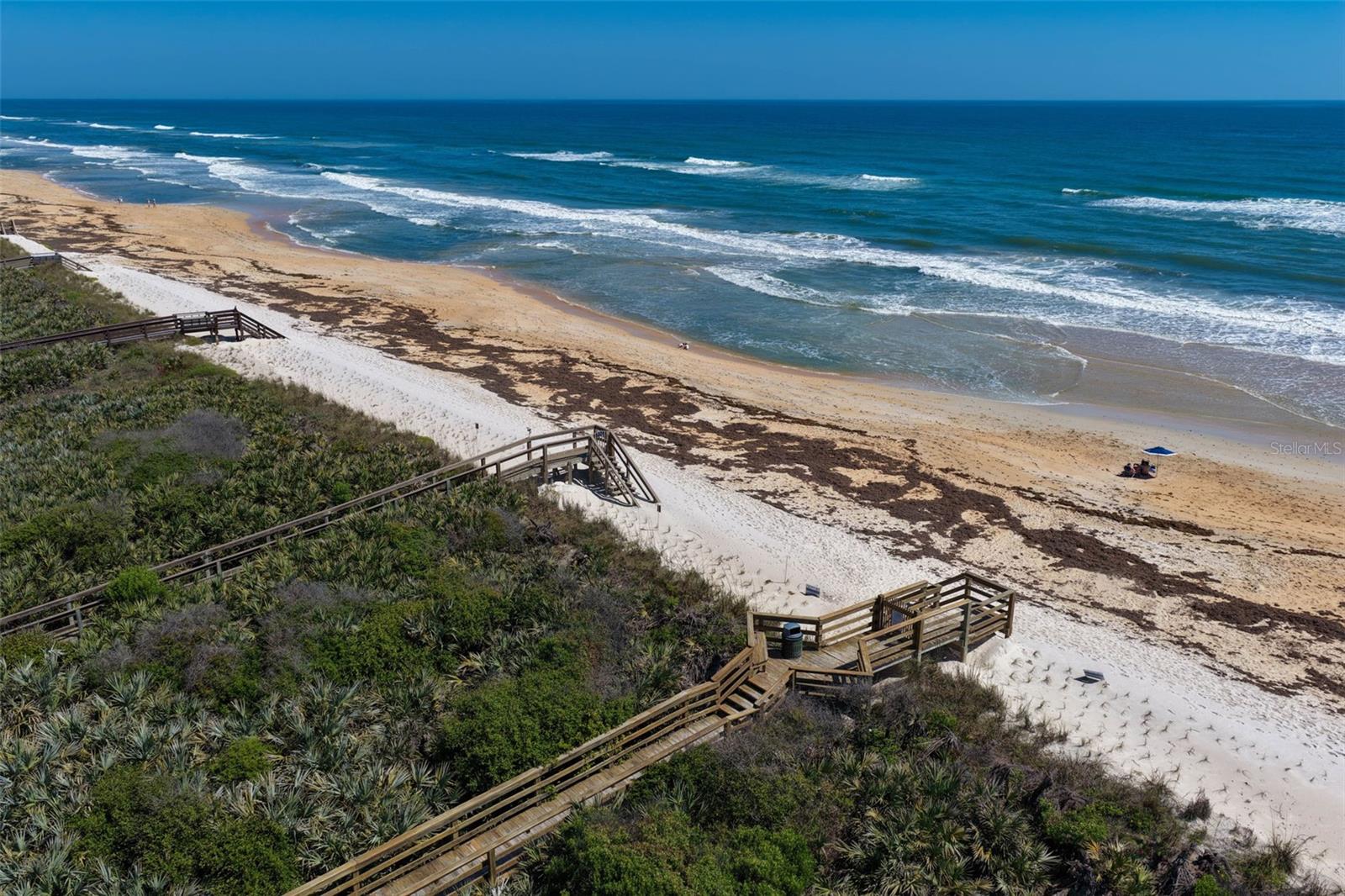 OCEAN HAMMOCK - Land