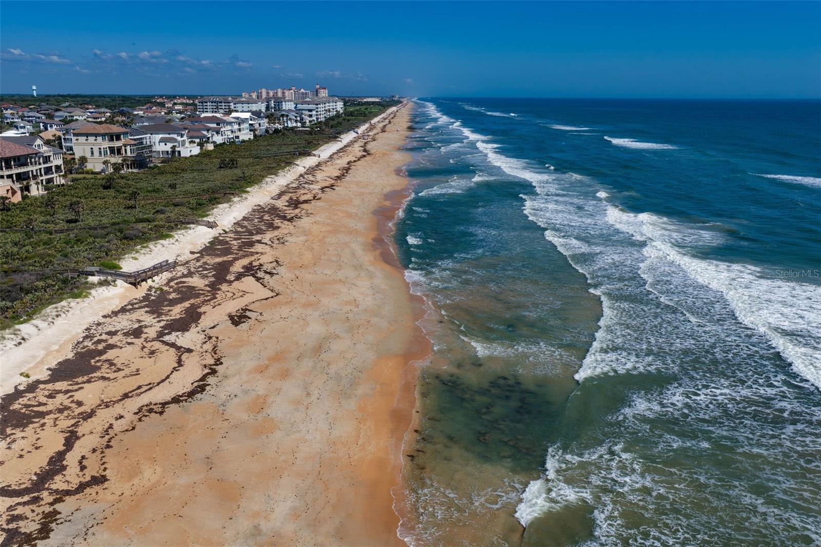 OCEAN HAMMOCK - Land