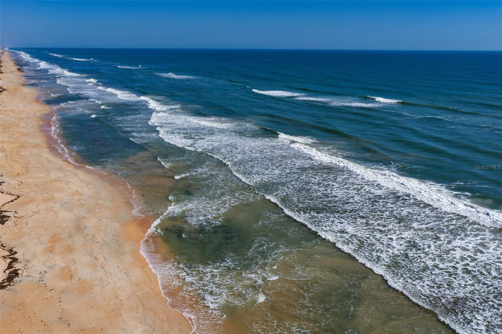 OCEAN HAMMOCK - Land