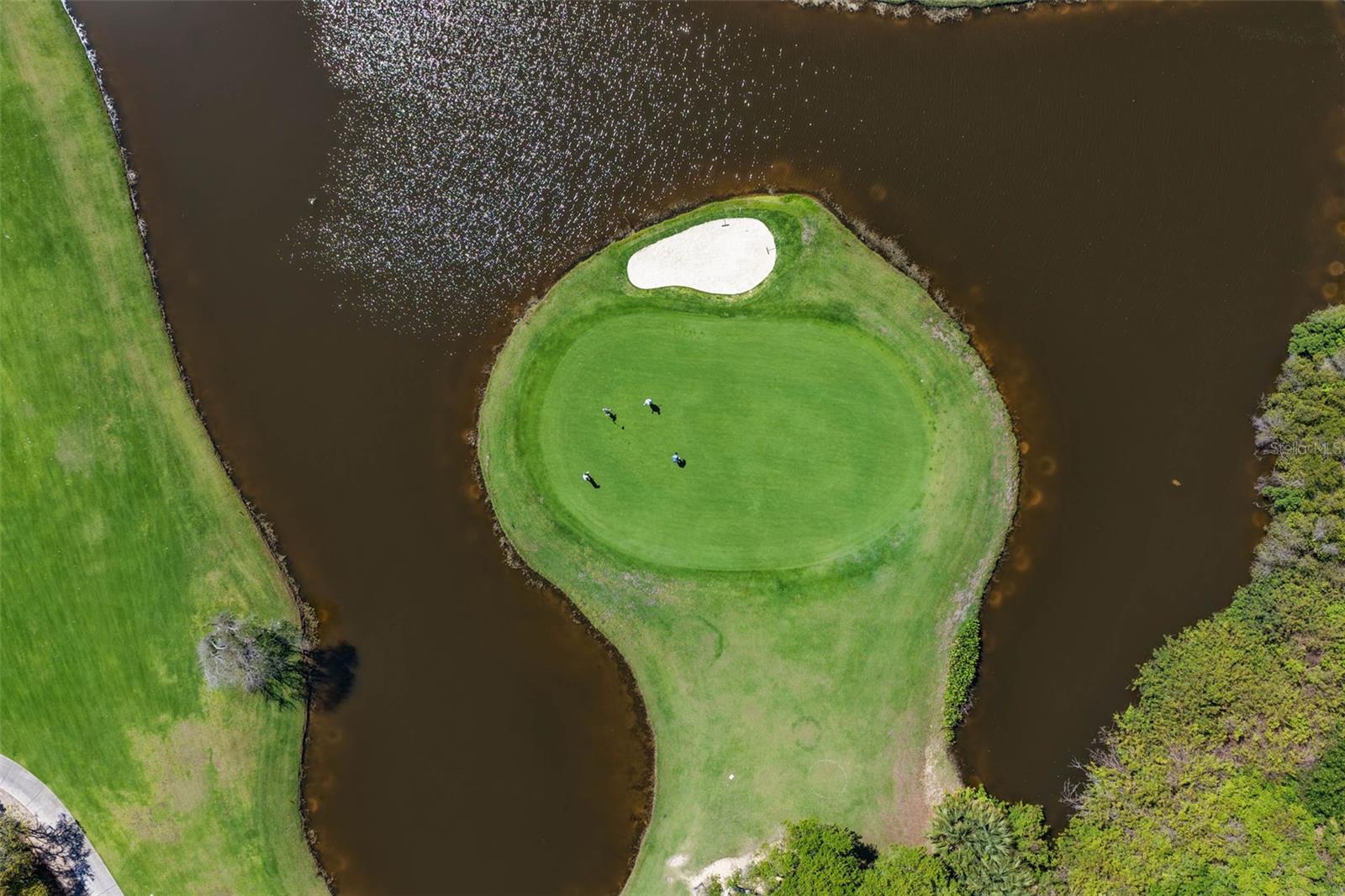 OCEAN HAMMOCK - Land