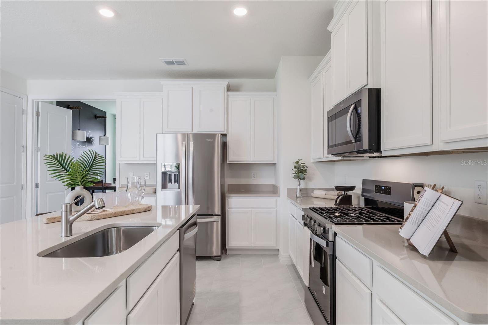 LAKES OF MOUNT DORA - Residential