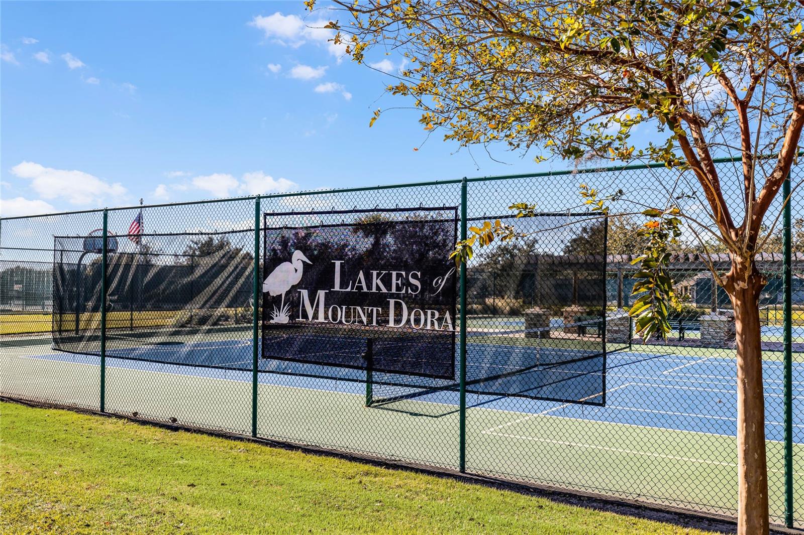 LAKES OF MOUNT DORA - Residential
