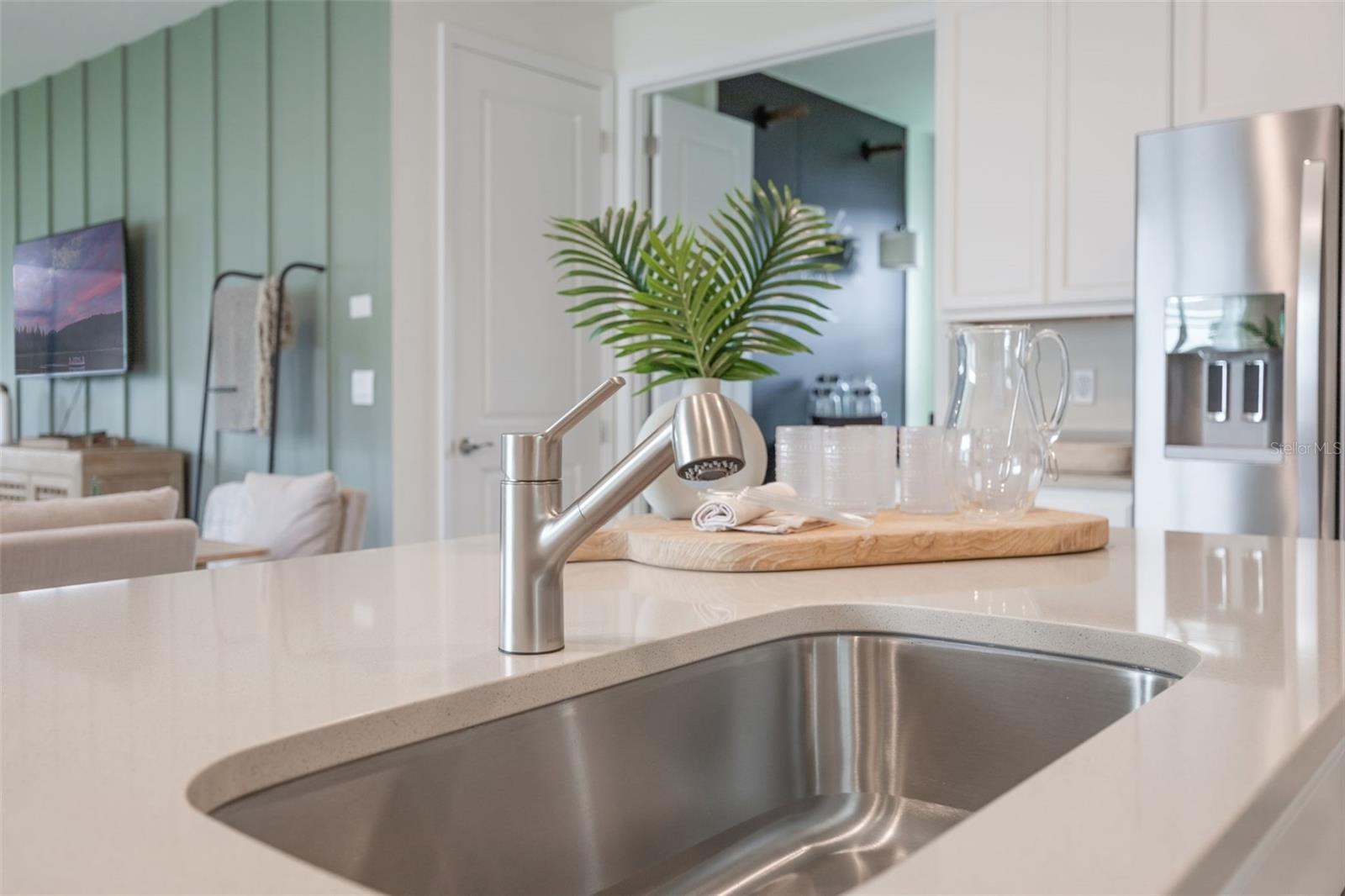 LAKES OF MOUNT DORA - Residential