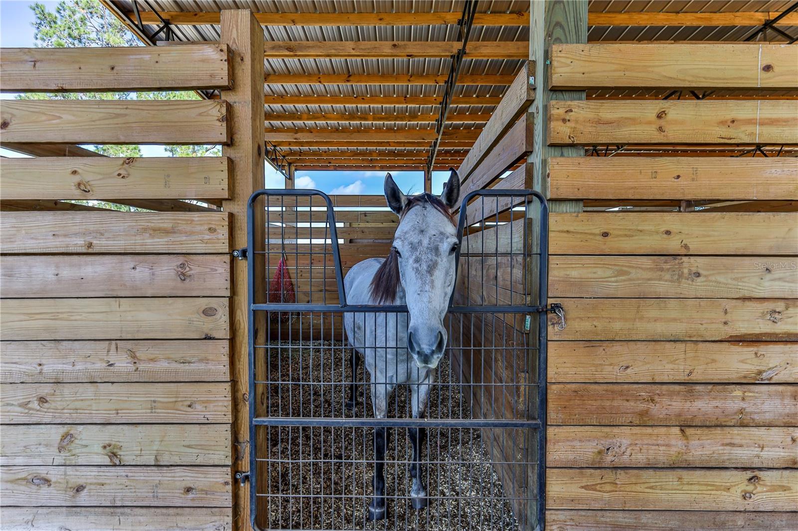 STELNICKI - CLASS 1 SUB - Residential