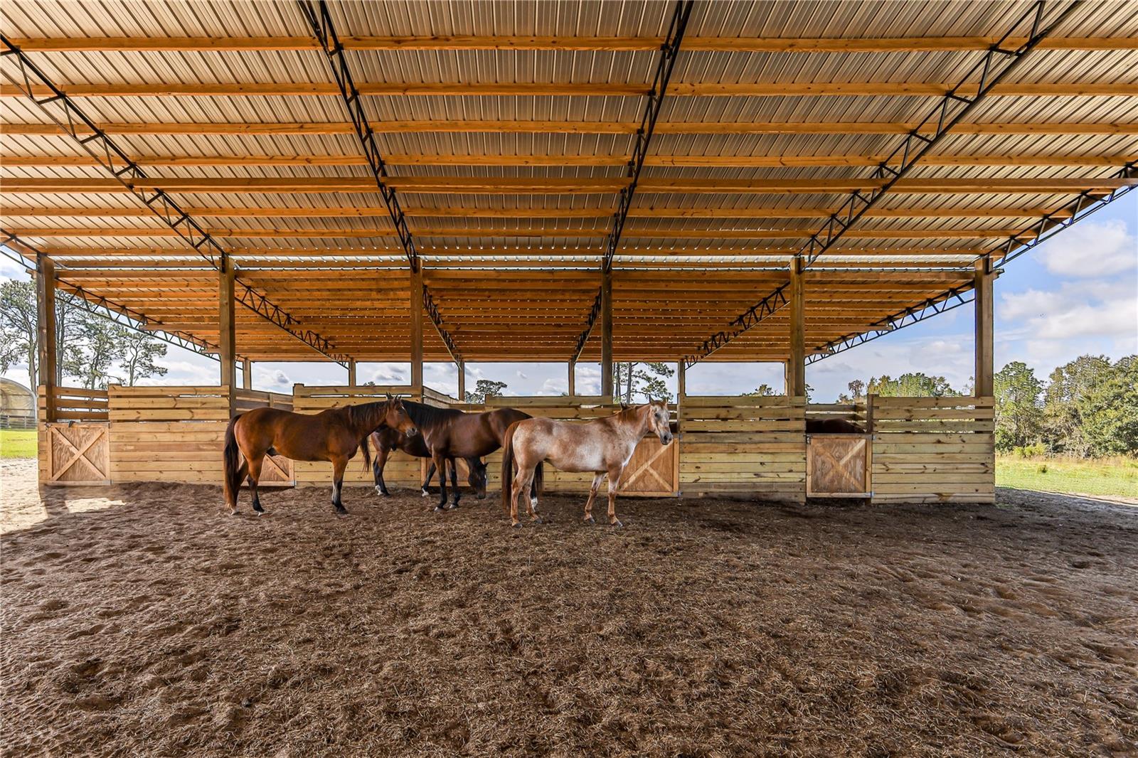 STELNICKI - CLASS 1 SUB - Residential