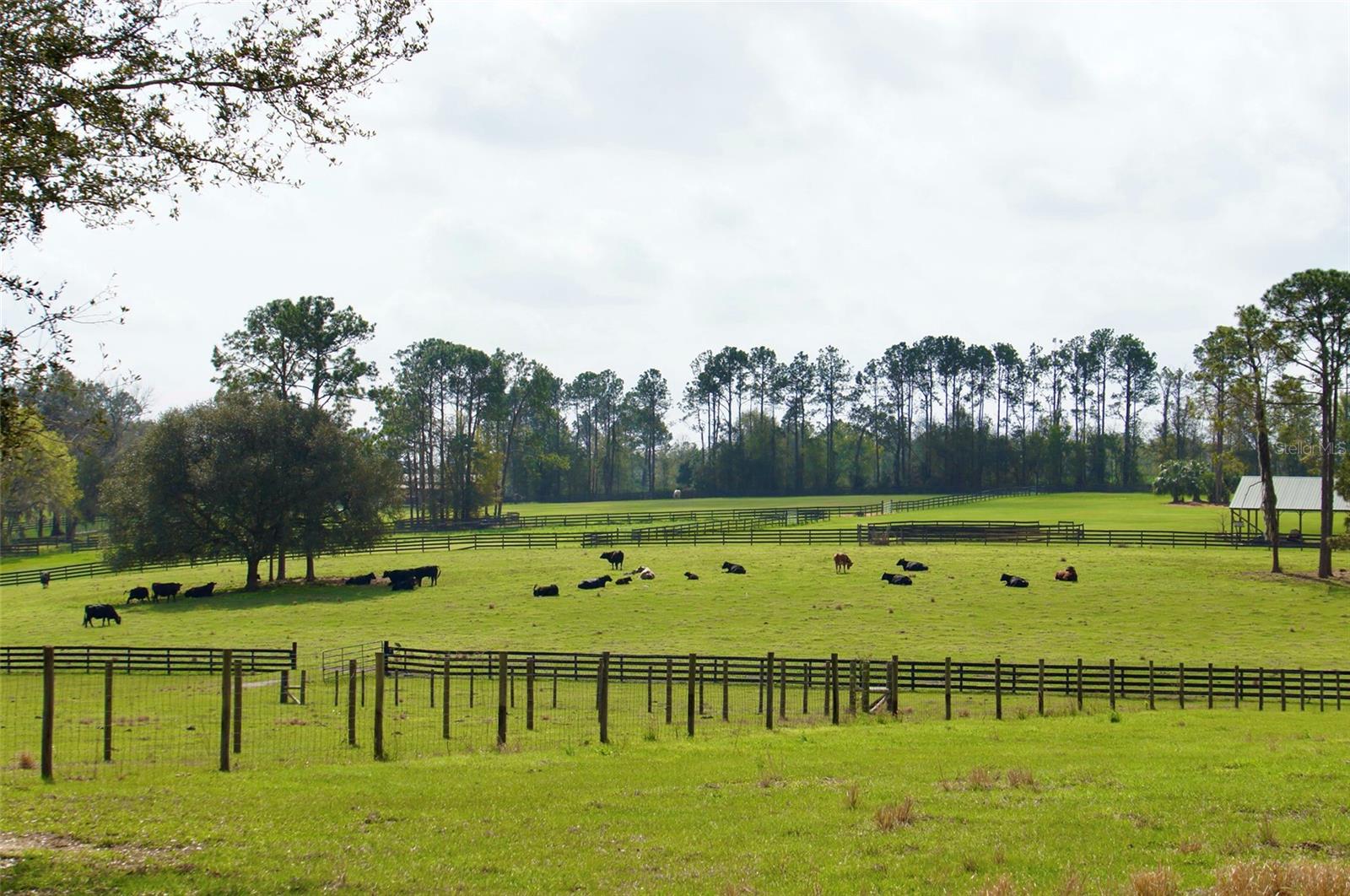 STELNICKI - CLASS 1 SUB - Residential