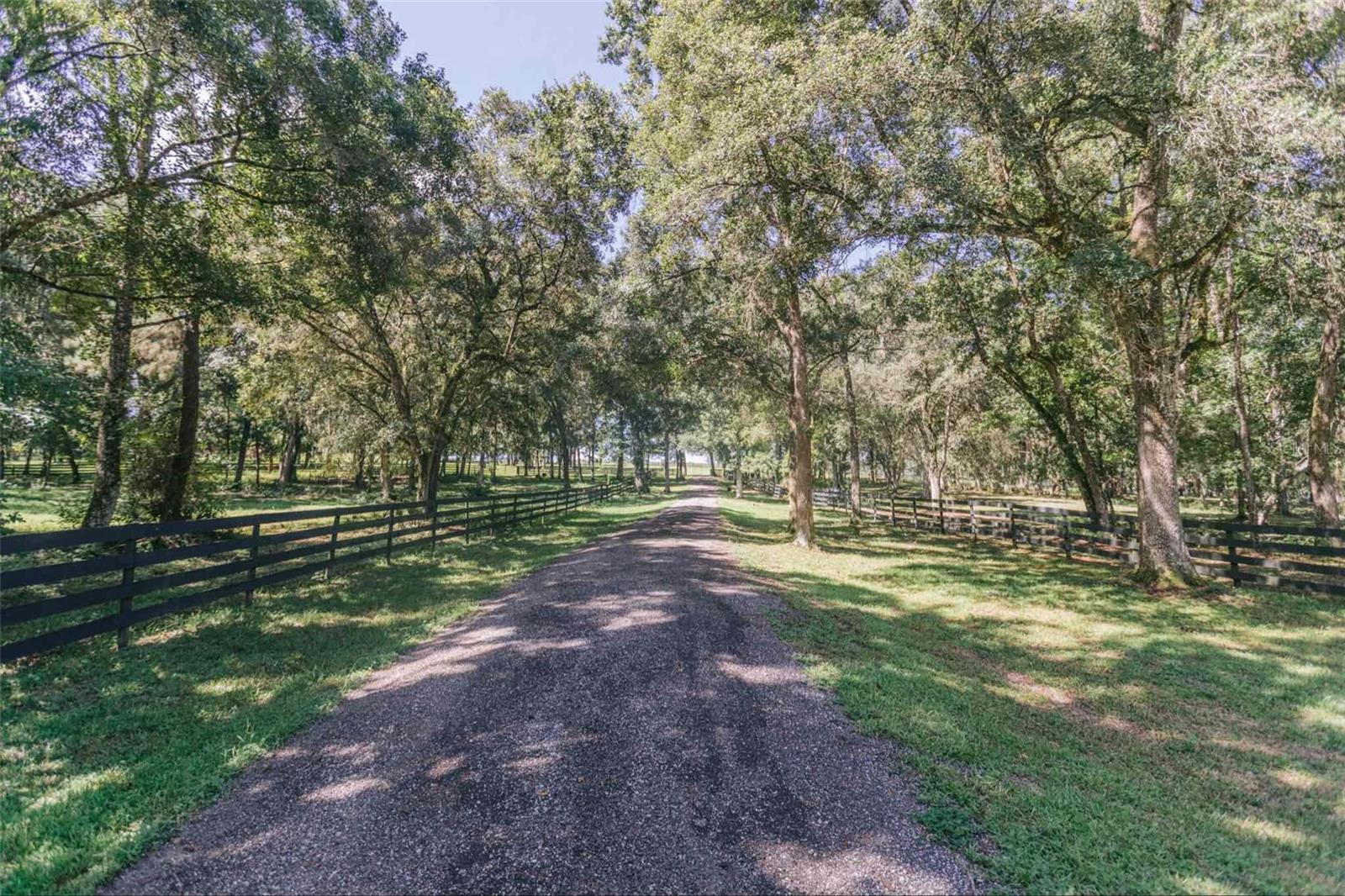 STELNICKI - CLASS 1 SUB - Residential