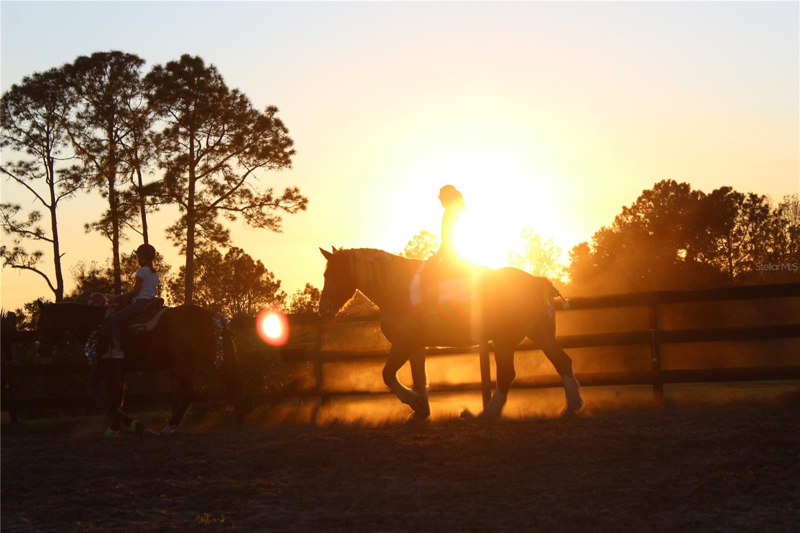 STELNICKI - CLASS 1 SUB - Residential