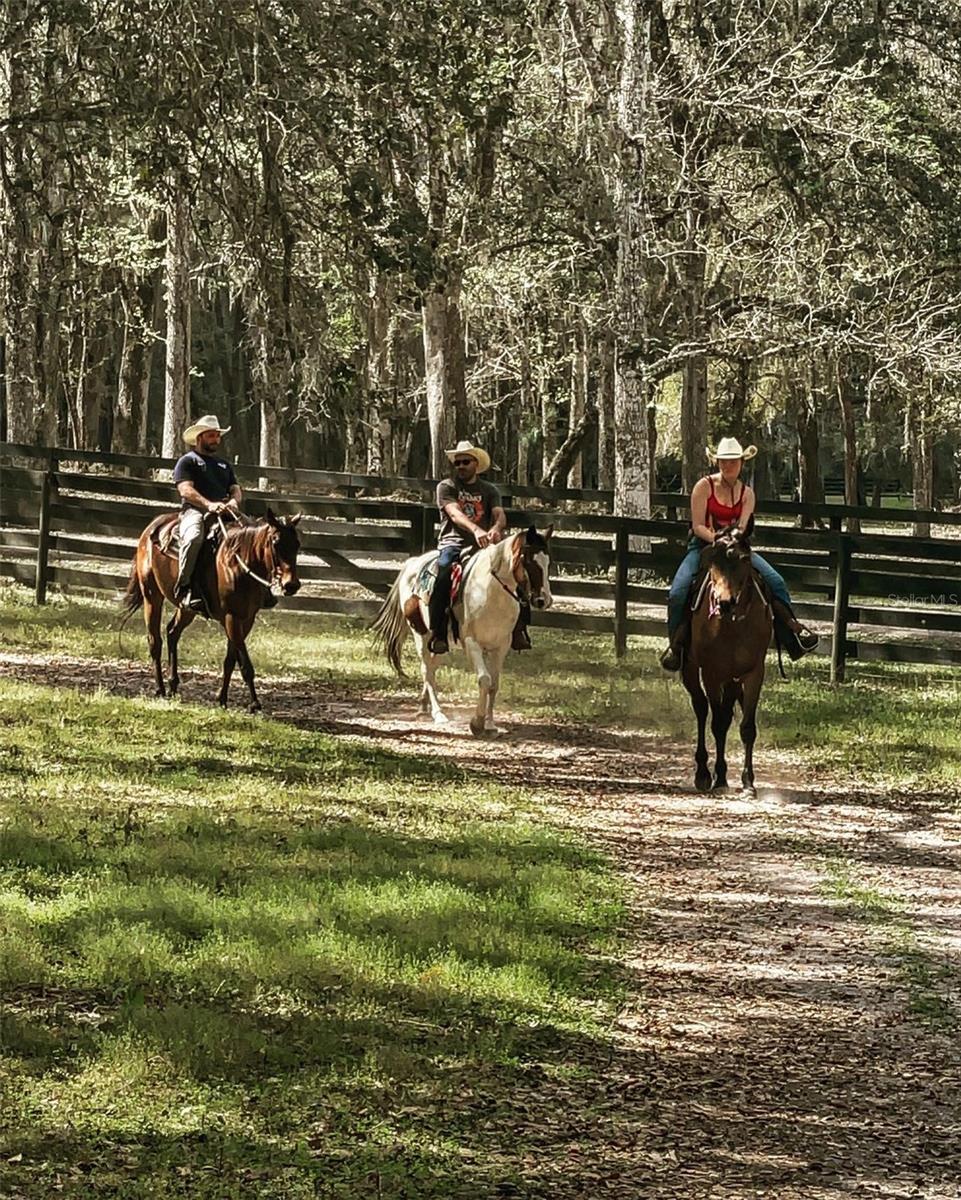 STELNICKI - CLASS 1 SUB - Residential