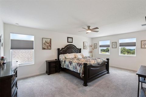 Tiny photo for 6808 Serpent Hawk Lane, Howey In The Hills, FL 34737 (MLS # O6423864)