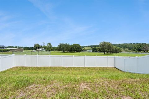 Tiny photo for 6808 Serpent Hawk Lane, Howey In The Hills, FL 34737 (MLS # O6423864)