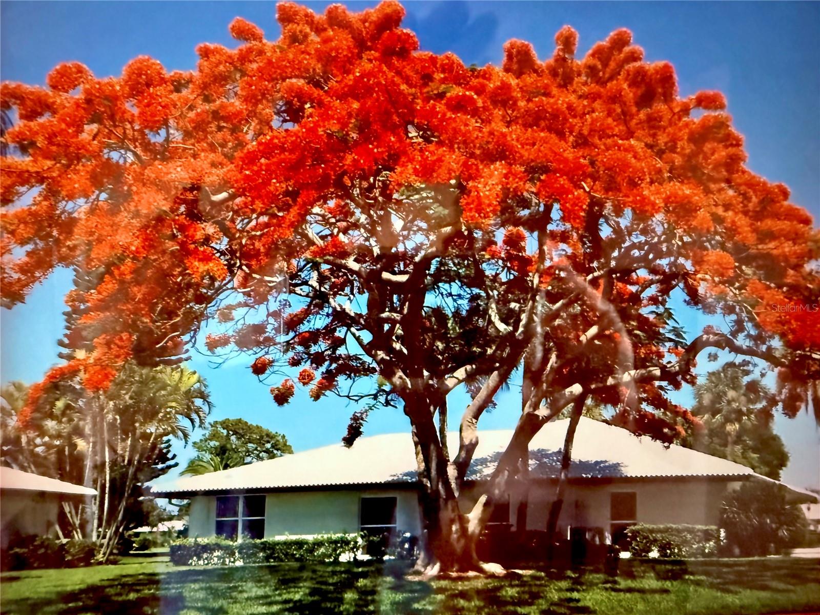 6712 11TH AVENUE W 5601