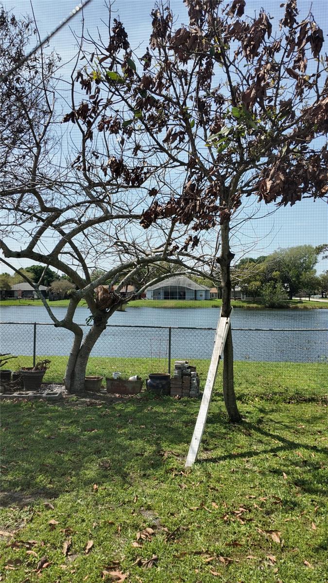 CANOE CREEK WOODS UNIT 10 - Residential Lease