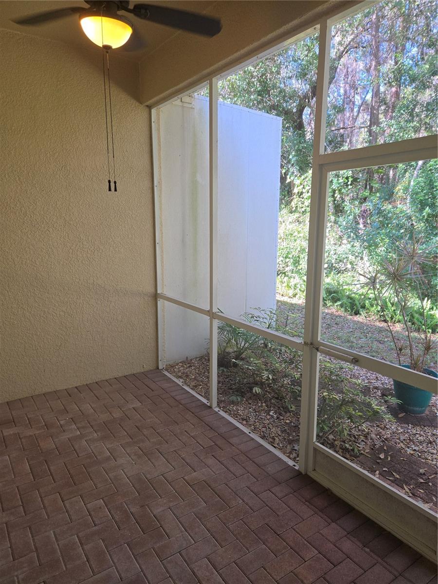 BRIAR PATCH VILLAGE 07 SPGS PH 02 - Residential