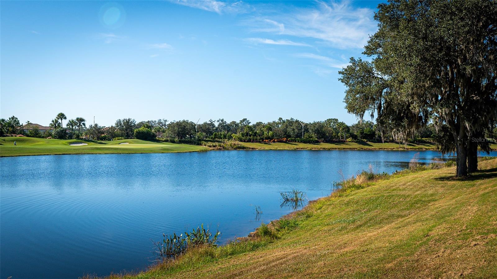 BACCIANO III AT ESPLANADE LAKEWOOD RANCH - Residential Lease