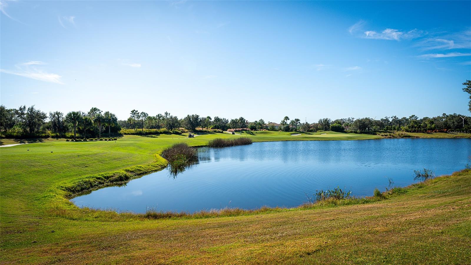 BACCIANO III AT ESPLANADE LAKEWOOD RANCH - Residential Lease