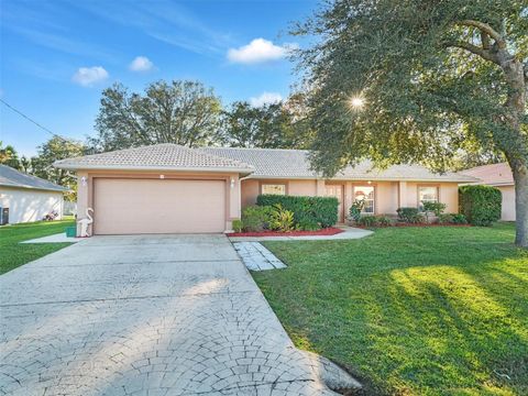 A home in PALM COAST