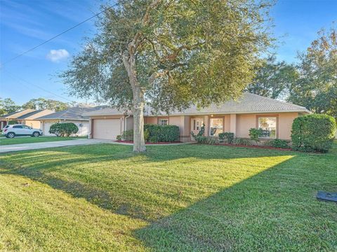 A home in PALM COAST