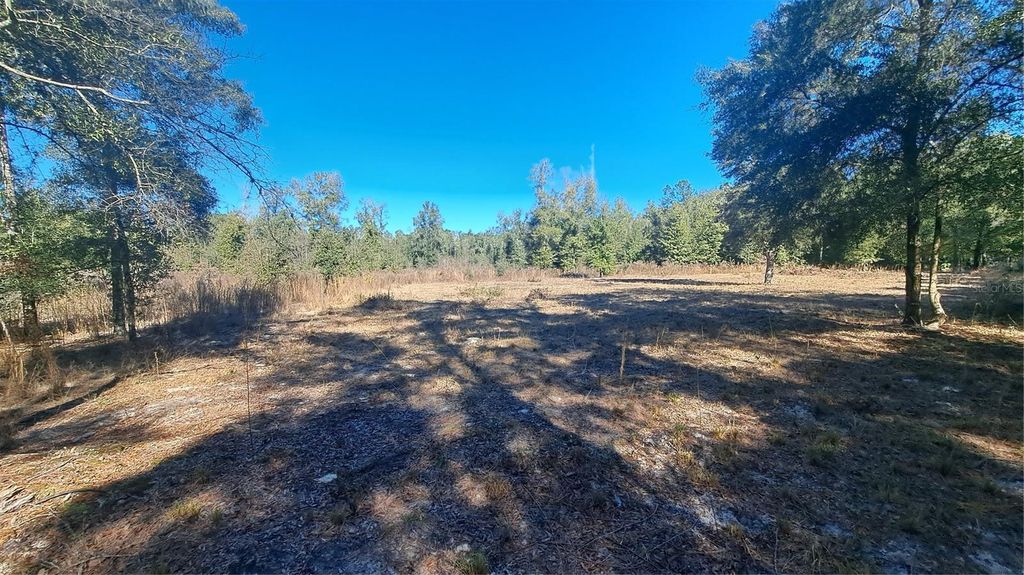 Photo of 669 SW Shiloh Street, Fort White, FL 32038 (MLS # GC536700)