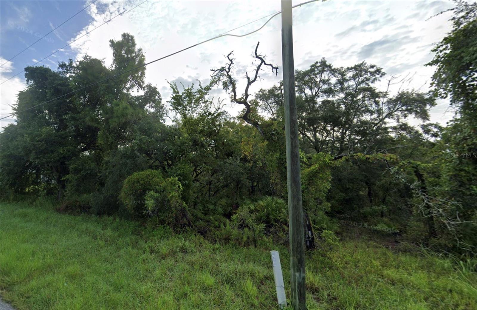 Tucked away in the sought-after Royal Highlands area, this prime vacant lot offers the perfect opportunity to build your future home or hold as a long-term investment. Enjoy the freedom of no HOA, no CDD, and no build time restrictions—giving you flexibility and peace of mind. Surrounded by nature and just minutes from shopping, dining, schools, medical centers, and outdoor adventures like fishing in the Gulf or kayaking in nearby springs and rivers. Don’t miss your chance to own a slice of Florida paradise!