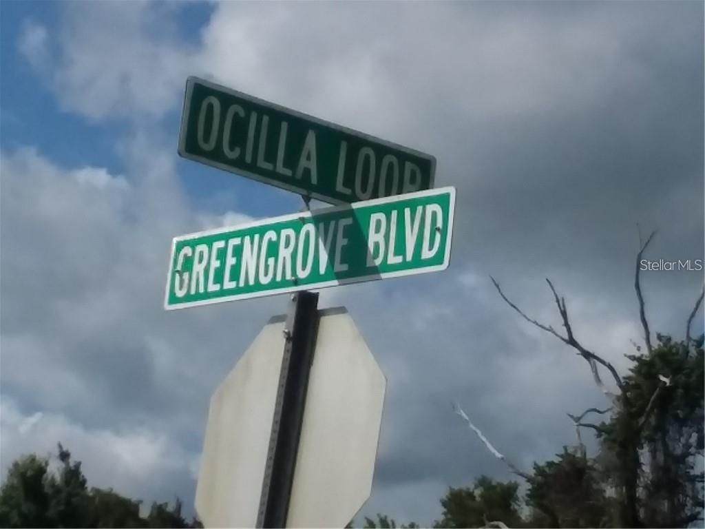 Photo of Greengrove Boulevard #LOT26, Clermont, FL 34714 (MLS # O6332034)