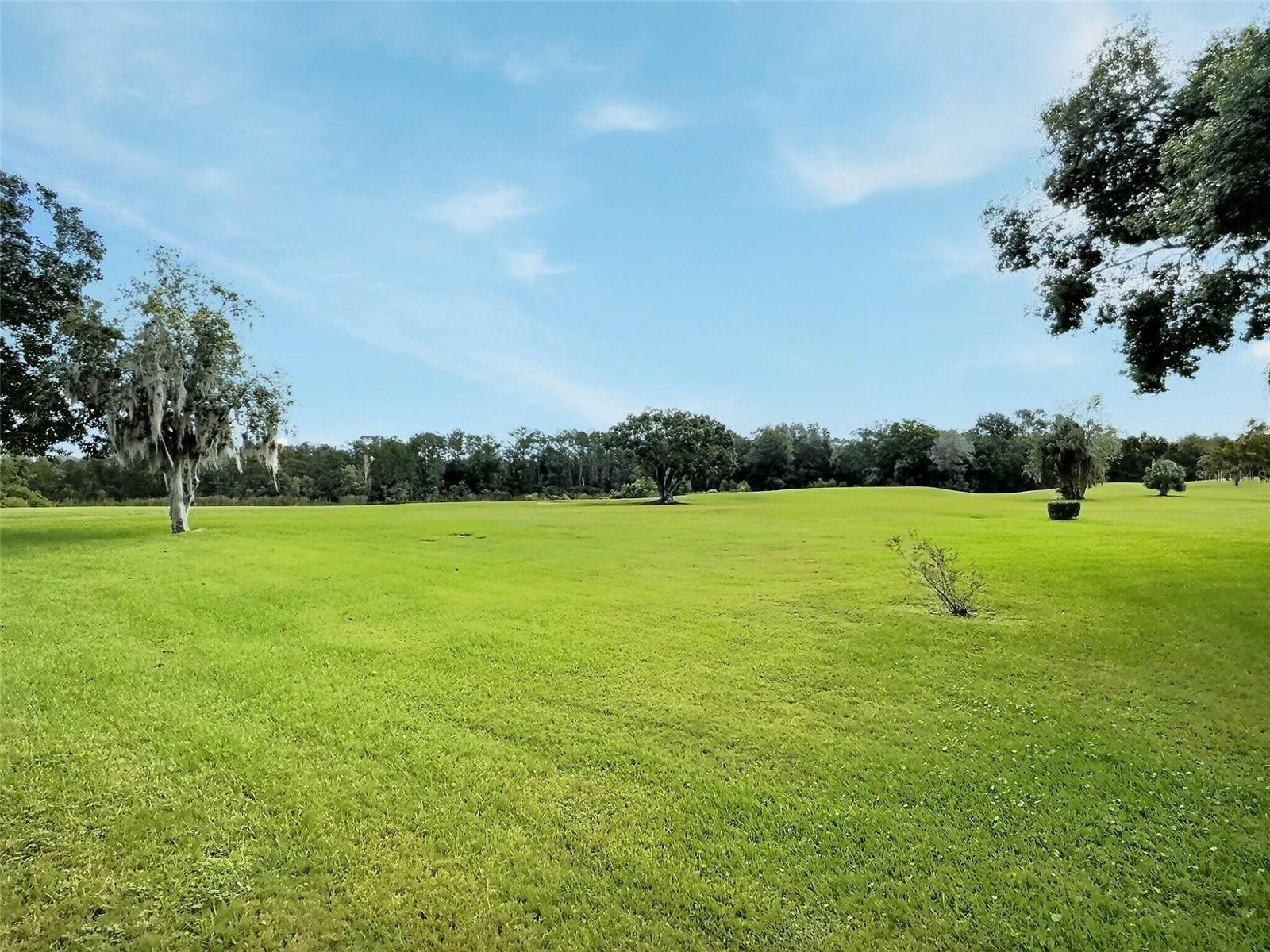 LIVE OAK VILLAGE CONDO - Residential