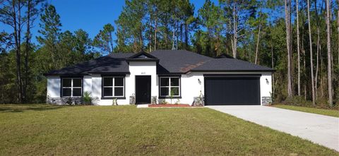 4115 SWAMP DEER ROAD NEW SMYRNA BEACH FL 32168