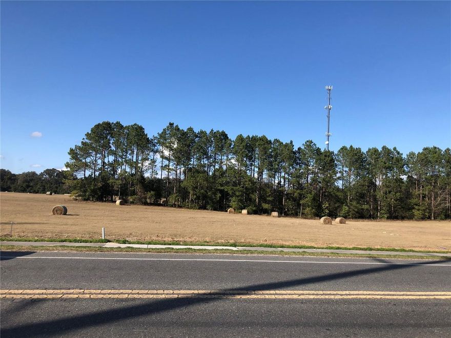 3 Commercial Lots totaling 1.68 Acres of Land with 300' of Road Frontage.  Cleared and ready to develop.  Lots total 300' x 250'
Inside the City Limits of Trenton.  (Owner will not Divide Lots)