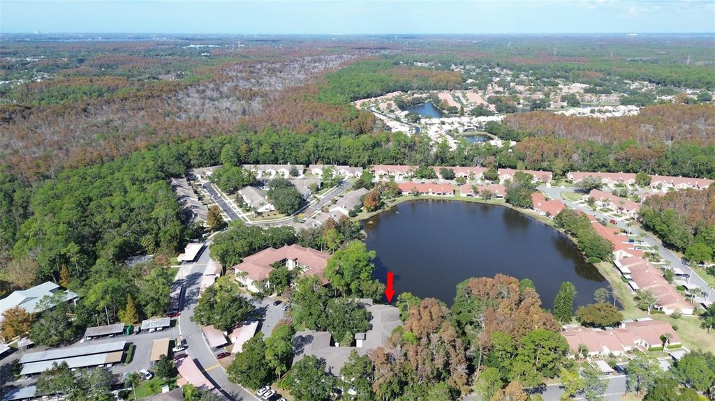 Photo of 3399 Mermoor Drive #207, Palm Harbor, FL 34685 (MLS # TB8449433)