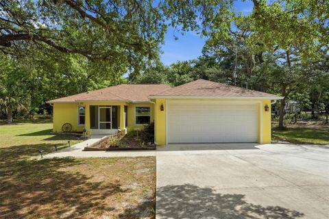 Photo of 14056 Tayco Drive, Weeki Wachee, FL 34614 (MLS # TB8501348)