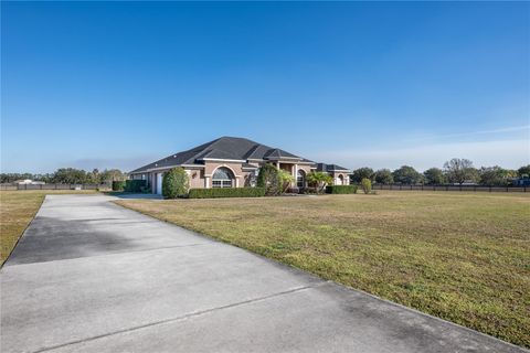 Tiny photo for 29222 Can Do Lane, Tavares, FL 32778 (MLS # O6379362)