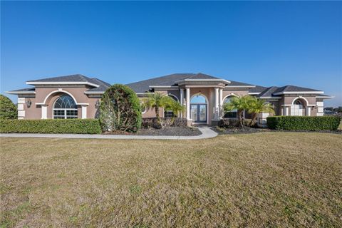 Photo of 29222 Can Do Lane, Tavares, FL 32778 (MLS # O6379362)