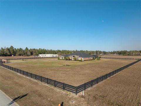 Tiny photo for 29222 Can Do Lane, Tavares, FL 32778 (MLS # O6379362)