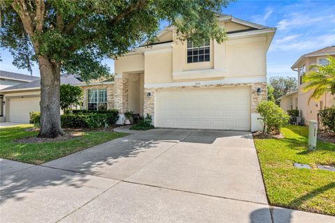 A home in MOUNT DORA