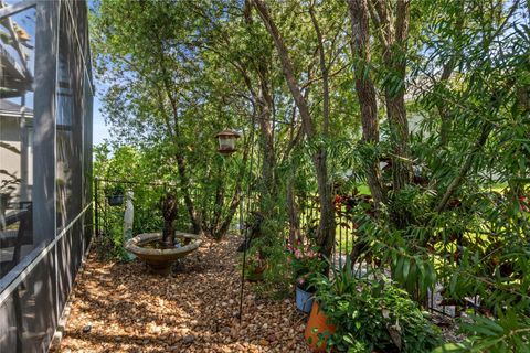 A home in MOUNT DORA