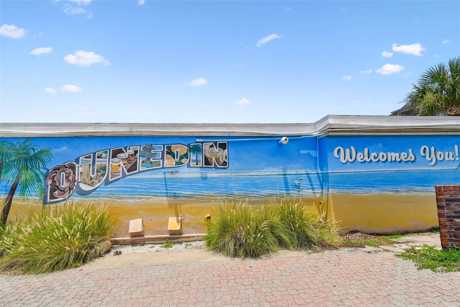 DUNEDIN SHORES - Residential