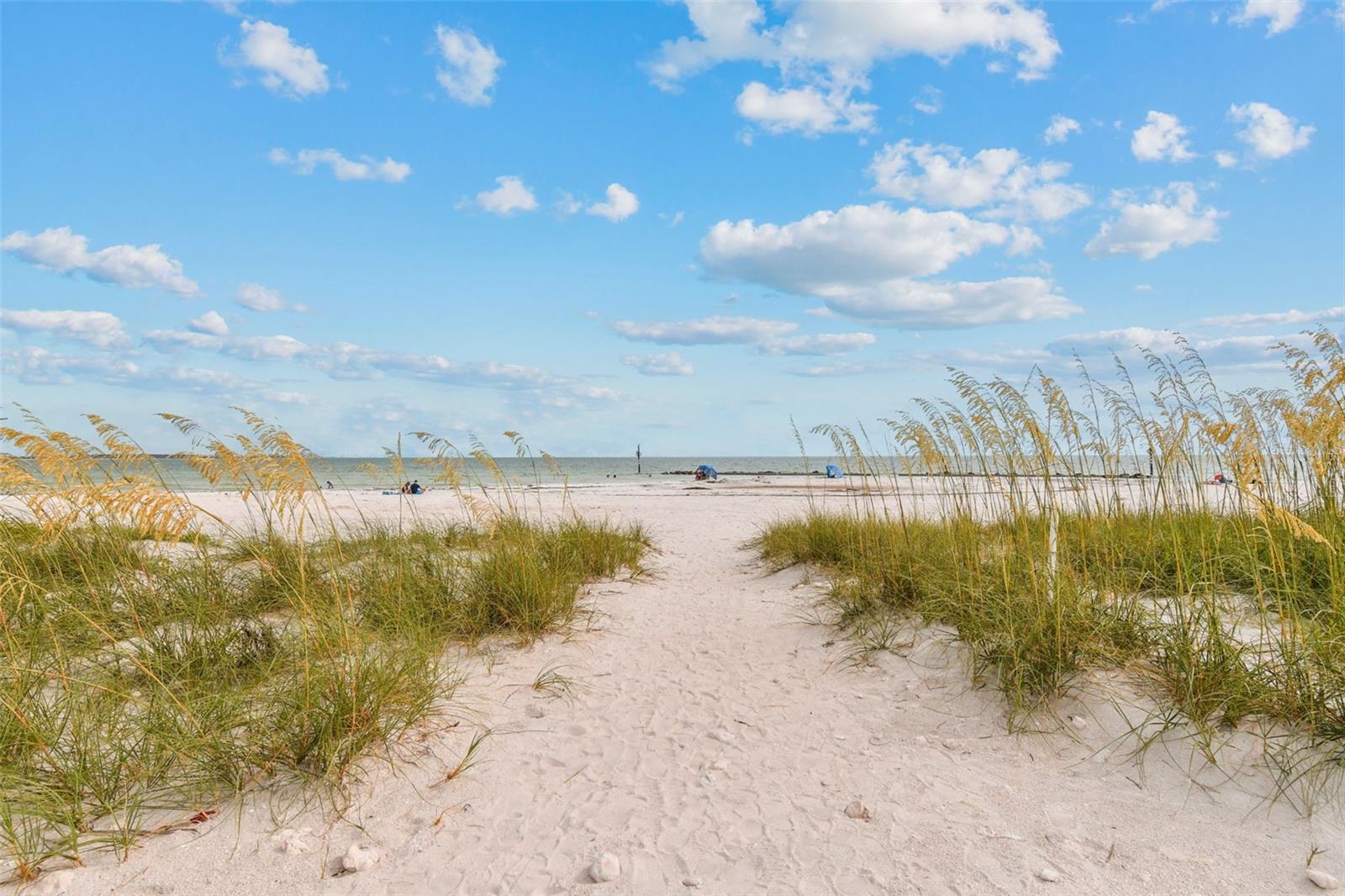 DUNEDIN SHORES - Residential