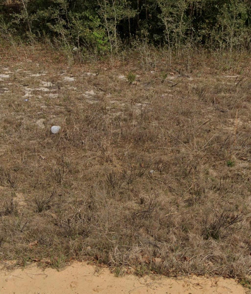 INTERLACHEN LAKES ESTATES - Land