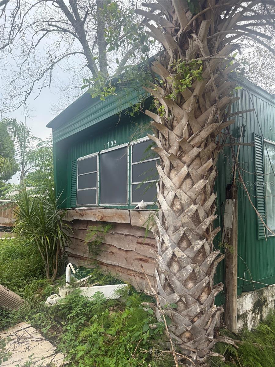 BUENA VISTA SUB - Residential