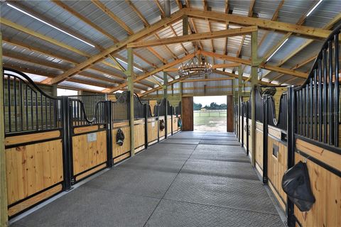 Tiny photo for 20462 SW 36th Street, Dunnellon, FL 34431 (MLS # OM715927)