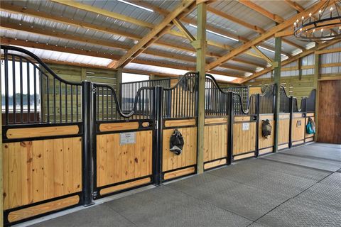 Tiny photo for 20462 SW 36th Street, Dunnellon, FL 34431 (MLS # OM715927)