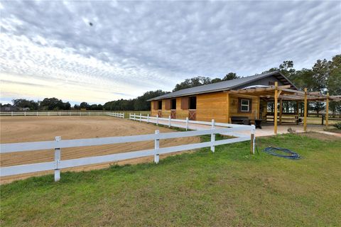 Tiny photo for 20462 SW 36th Street, Dunnellon, FL 34431 (MLS # OM715927)