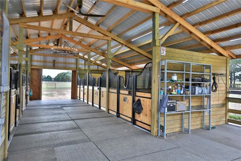 Tiny photo for 20462 SW 36th Street, Dunnellon, FL 34431 (MLS # OM715927)