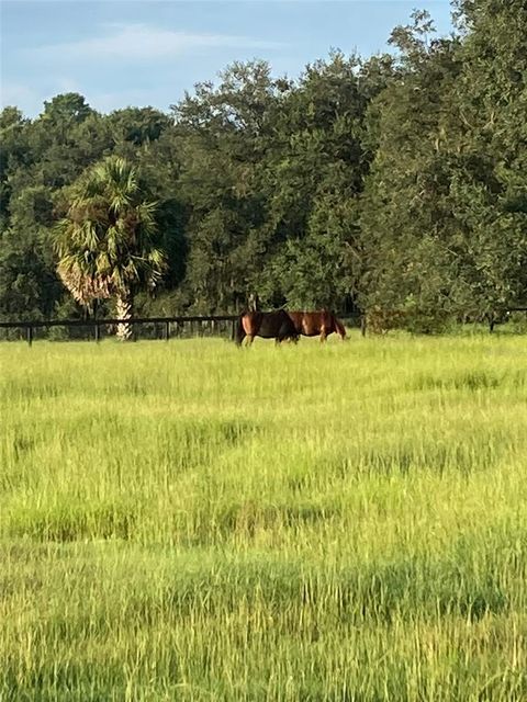 Tiny photo for 20462 SW 36th Street, Dunnellon, FL 34431 (MLS # OM715927)