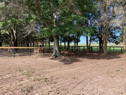 Tiny photo for 20462 SW 36th Street, Dunnellon, FL 34431 (MLS # OM715927)